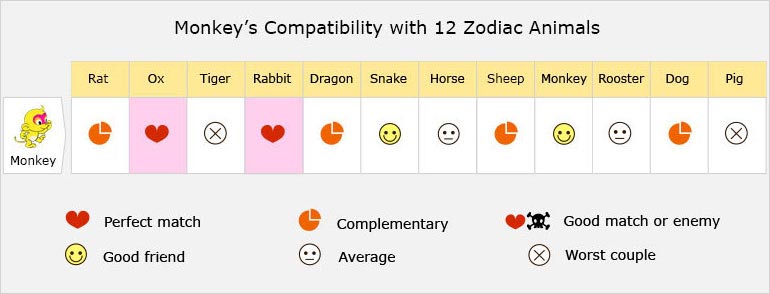 Monkey's Compatibility with 12 Zodiac Animals