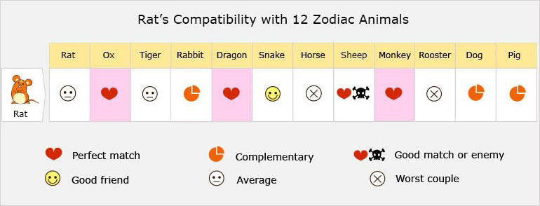 Rat''s Compatibility with 12 Zodiac Animals