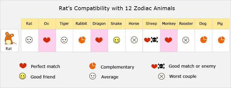 Rat''s Compatibility with 12 Zodiac Animals