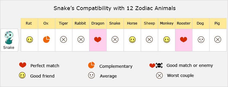 Snake's Compatibility with 12 Zodiac Animals