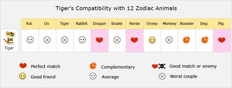 Tiger's Compatibility with 12 Zodiac Animals