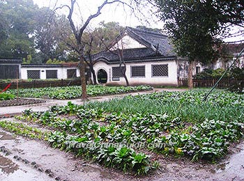 Baicao Garden