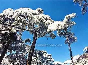 Huangshan in Winter