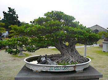 A potted landscape in Bao's Family Garden
