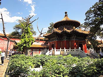 Imperial Garden in Forbidden City