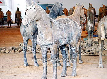 Terracotta Horse for Cavalryman