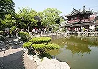 Yuyuan Garden in June