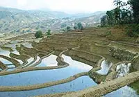 Dragon's Backbone Rice Terraces