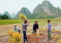 Yangshuo in November