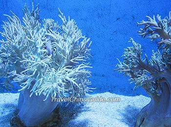 Beihai Underwater World