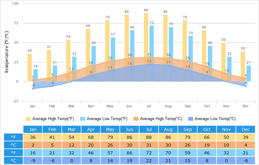 Delhi Yearly Weather Chart