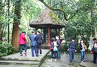 Thatched Cottage of Du Fu in Autumn