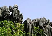 Stone Forest, Kunming