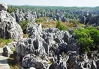 Stone Forest, Kunming