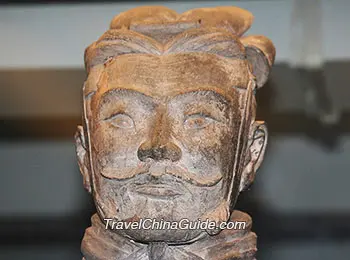 Moustache of Terracotta Warriors