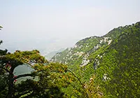 Wutong Mountain