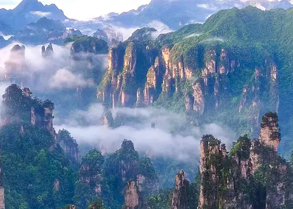 Eksamensbevis Individualitet rookie Tianzi Mountain Nature Reserve, Zhangjiajie, Hunan