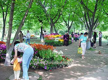 Xingqing Palace Park