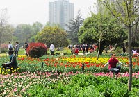 Nanshan Botanical Garden