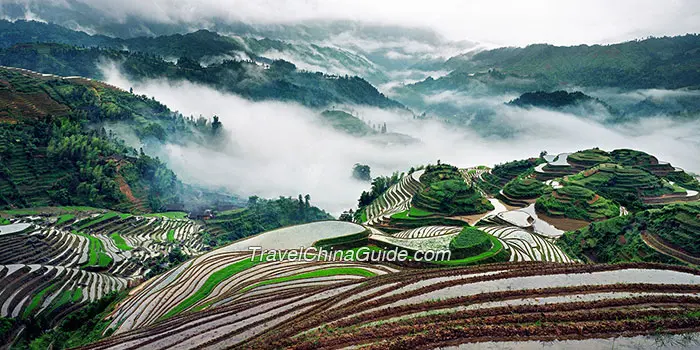 Dragon's Backbone Rice Terraces, Longsheng