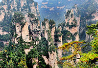 Tianzi Mountain Nature Reserve