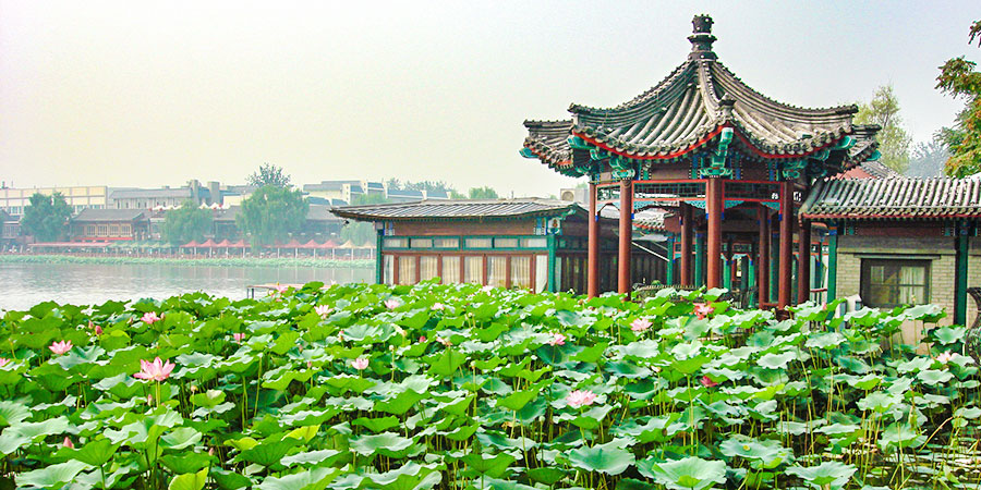 Lotus Market in Beijing