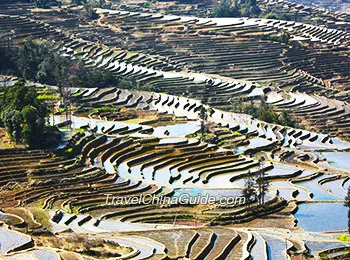 Yuanyang Rice Terraces