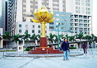 Golden Lotus Square