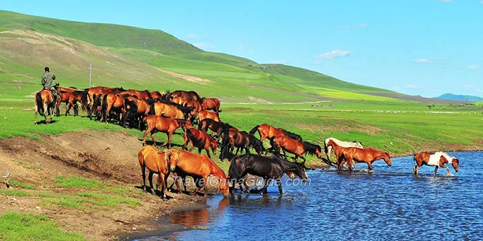 Grassland in Inner Mongolia