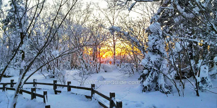 Harbin Travel in December