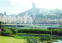 Hong Kong Jockey Club