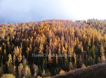 Hemu Village in Kanas Reserve