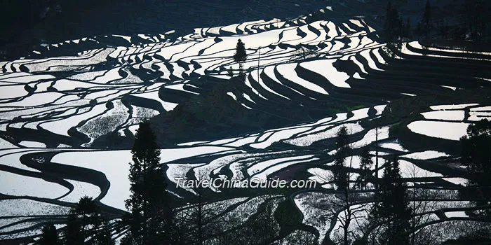 Yuanyang Rice Terraces, Yunnan