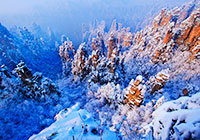 Snow Scenery in Tianzi Mountain