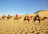 Camel Riding on Echoing-Sand Mountain