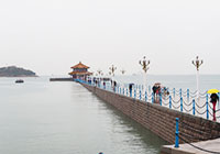 Zhan Bridge, Qingdao