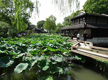 Humble Administrato's Garden