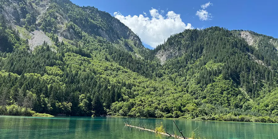 Five Flower Lake, Jiuzhaigou