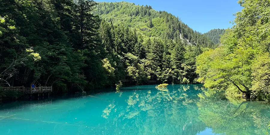 Five Flower Lake, Jiuzhaigou