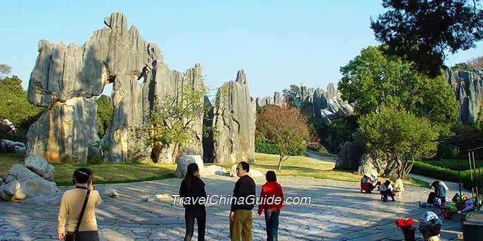 Stone Forest