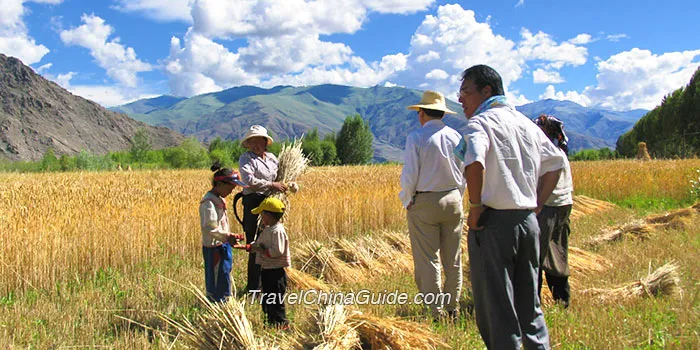 Nyingchi in Tibet