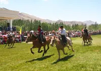 Naadam Festival