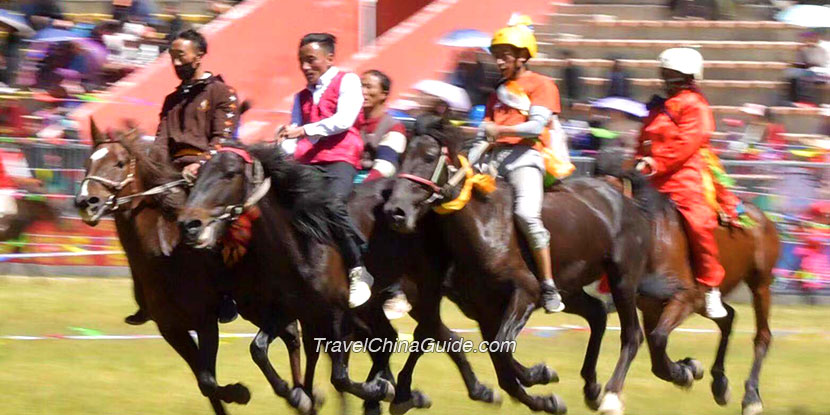 Mongolian Horse Racing