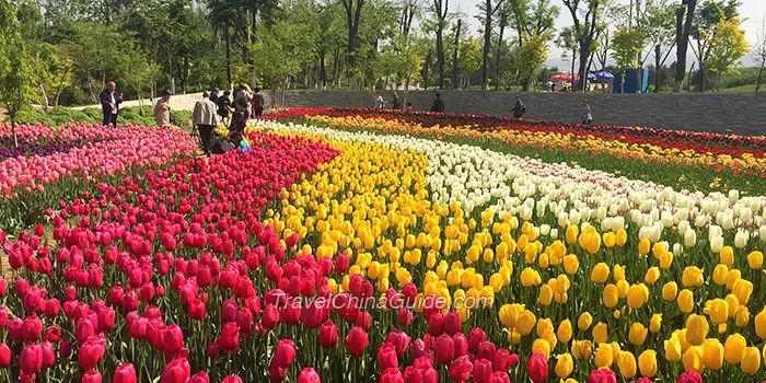 Xi’an Botanical Garden