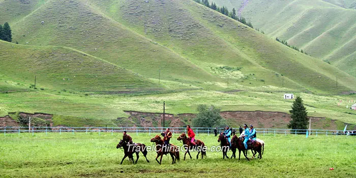 Southern Pasture, Urumqi