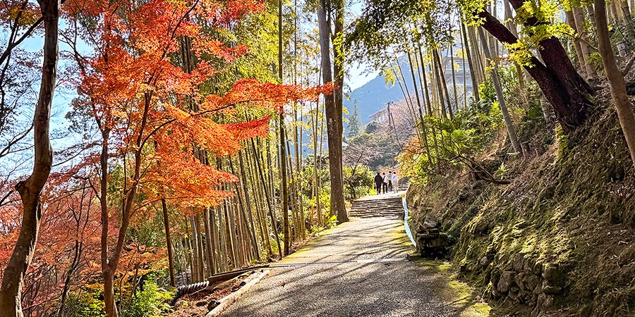 Colorful Autumn View in October