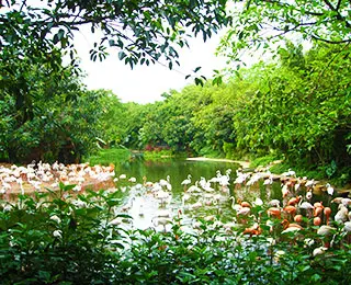 place to visit guangzhou