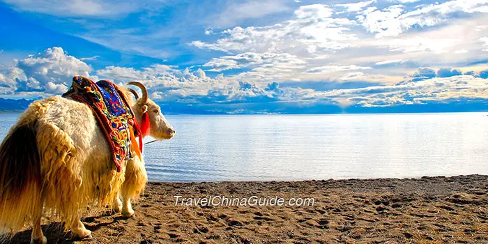 Namtso Lake