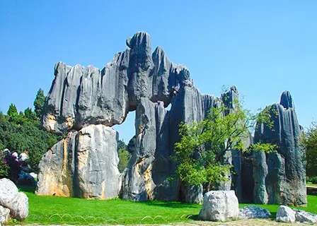 Stone Forest