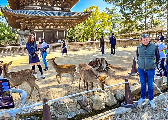 Nara Park